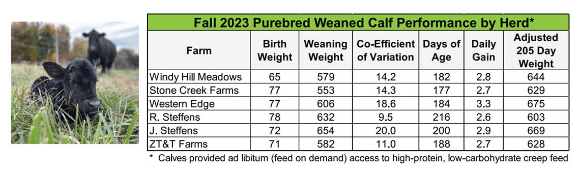 Fall 2023 Purebred Weaned Calf Performance by Herd