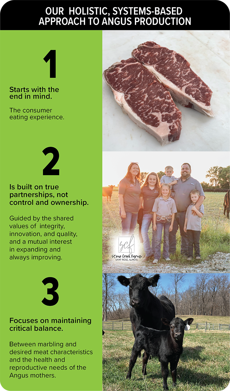 Our holistic, systems-based approach to angus production