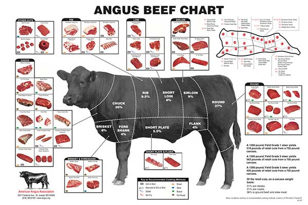 Beef Cuts Chart